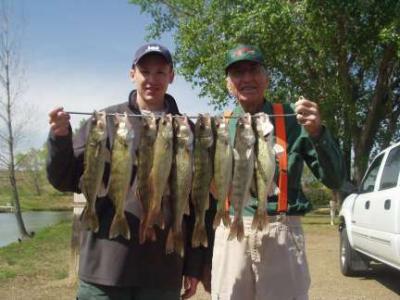 Walleye Fishing Lake Francis Case