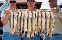 Lake Sharpe Walleye Fishing South Dakota