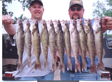 Lake Sharpe Walleyes  July 2003