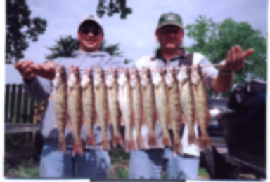 Lake Sharpe, Chamberlain, SD, Walleyes, 2003