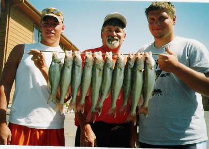 Elm Creek Area-Chamberlain, SD