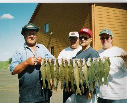 June Walleye Fishing on Lake Francis Case in SD!